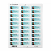 De Etiketten van het Adres van de Terugkeer van Ro (Full Sheet)