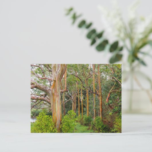 De Eucalyptus van de regenboog. Maui, Hawaï Briefkaart (Staand voorkant)