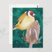 De Europese Goldfinch Briefkaart (Voorkant / Achterkant)