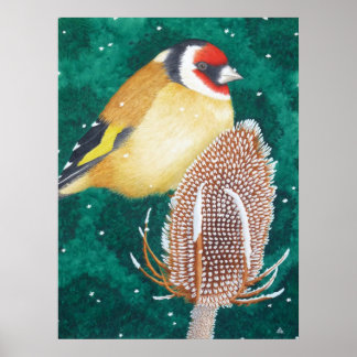 De Europese Goldfinch Poster
