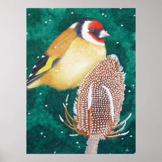 De Europese Goldfinch Poster (Voorkant)