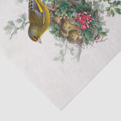 De Europese groene ontkoppeling Tissuepapier (Detail)