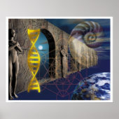 De evolutieroute poster (Voorkant)