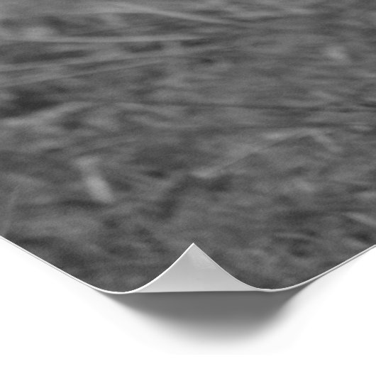 De exploitatie van de eenden poster (Hoek)