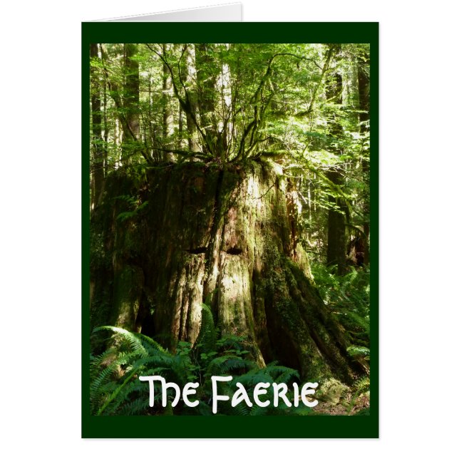 De Faerie - boomgeest (Voorkant)