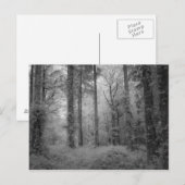 De fairies van de Bossen van Werndee No1 Briefkaart (Voorkant / Achterkant)