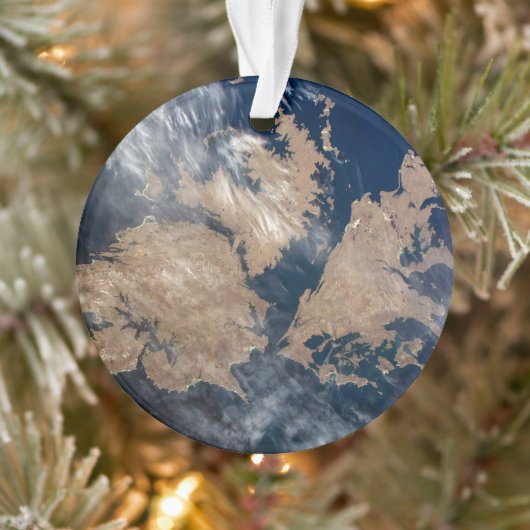 De Falklandeilanden (Islas Malvinas). Ornament (Boom)