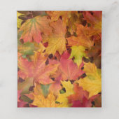 De fall verlaat Autumn de Kleuren personaliseren d (Binnenkant ongevouwen)