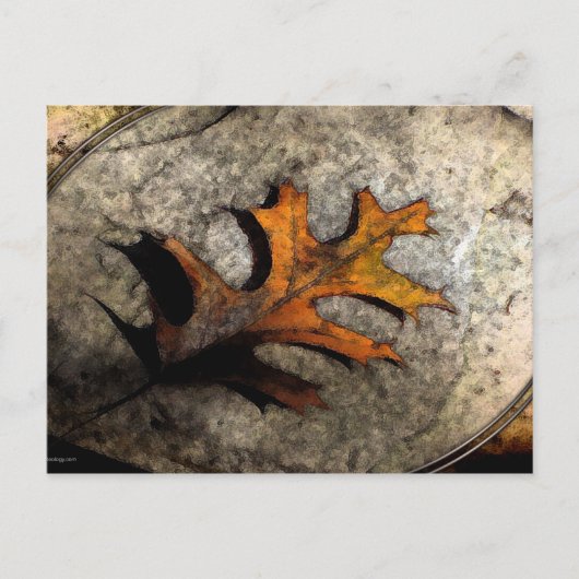 DE FALLEN BRIEFKAART (Voorkant)