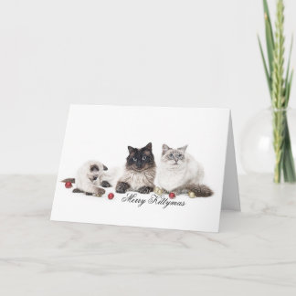 De familieKerstkaart van Ragdoll Feestdagen Kaart