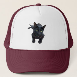 De fascinerende aantrekkingskracht van zwarte katt trucker pet
