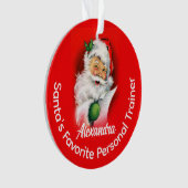 De favoriete aangepaste gepersonaliseerde carrière ornament (voorkant)