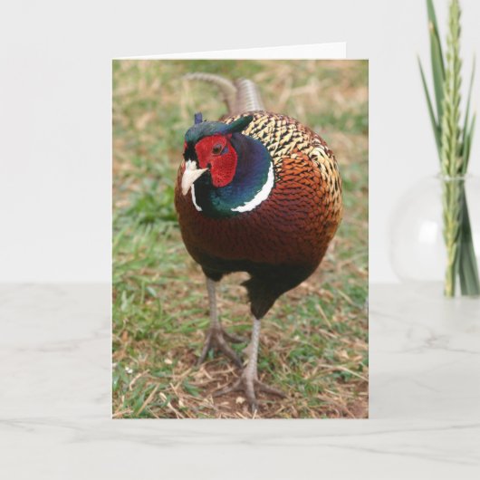 De Fazant Notecard 2 van Ringneck Kaart (Voorkant)