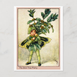 De Fee van de Boom van de doos Briefkaart