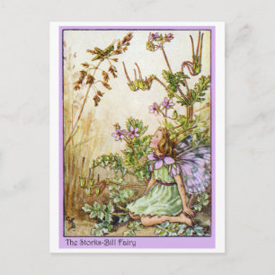 De Fee van de Rekening van ooievaars Briefkaart