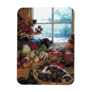 De feesten - magneet