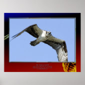 de feethery Eyeball Poster (Voorkant)