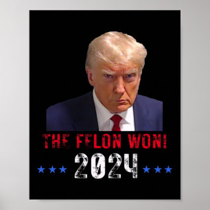 De felon won Trump in 2024 President TR Poster