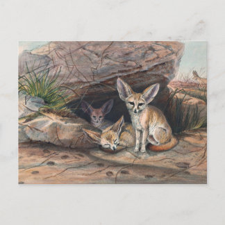 De Fennec Fox van Joseph Wolf Briefkaart