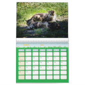 De Feral LiFe Fotokatten 2025 Kalender (Mar 2026)