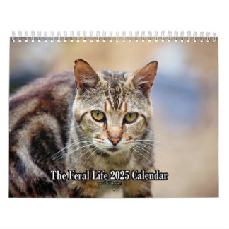 De Feral LiFe Fotokatten 2025 Kalender