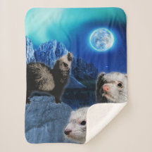 De Ferret Moon