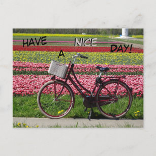 De fiets op Tulps-veld heeft een mooi Briefkaart o