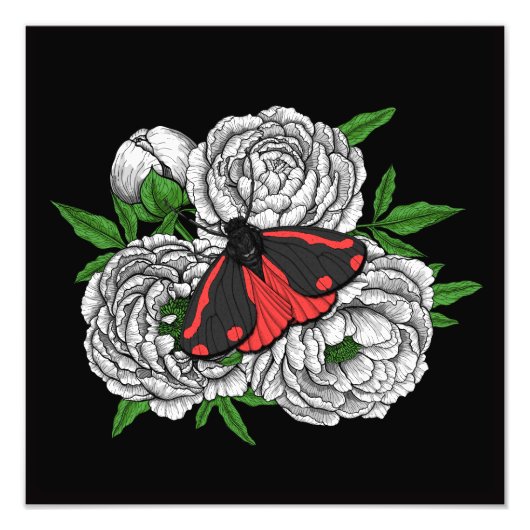 De filmmot foto afdruk (Voorkant)