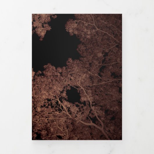 De Fin D'année Trois Volets Carte des arbres 5 (Page de couverture)