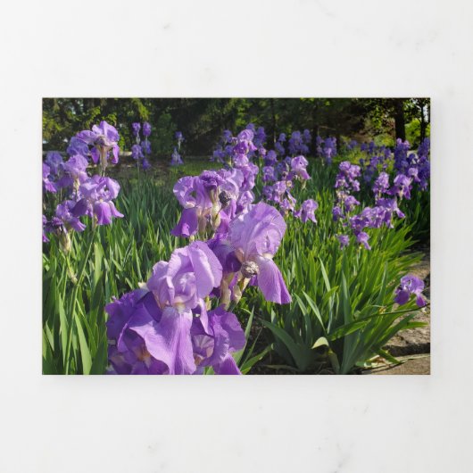 De Fin D'année Trois Volets Carte endommagée et Battue (Page de couverture)