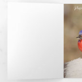 De Fin D'année Trois Volets Carte "Joyeux Noël" avec Cardinal (Intérieur en premier)