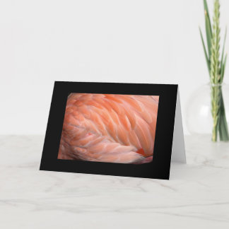 De flamingo sluit omhoog Groet Kaart