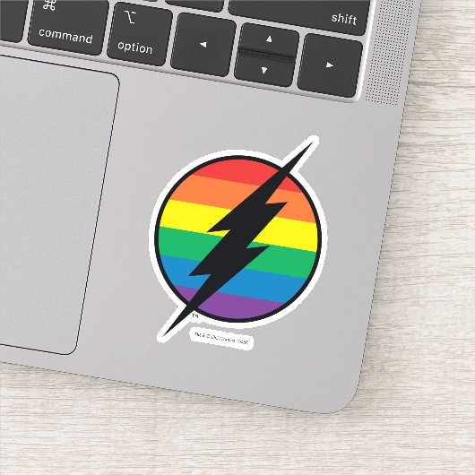 De Flash Rainbow-Logo Sticker (Detail)