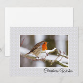 De Flat van de winter Kerstkaart van Robin (Voorkant / Achterkant)