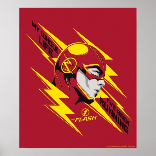 De flits | Mijn hele leven dat ik heb meegemaakt Poster (Voorkant)