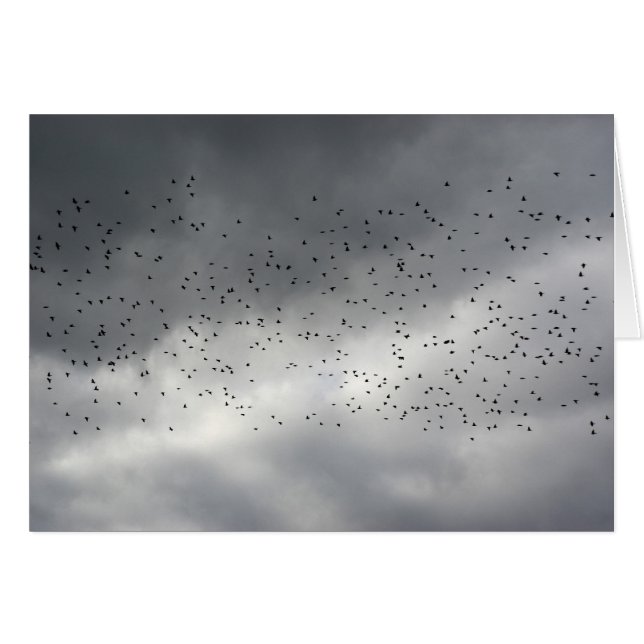 De Flock Kaart (Voorkant Horizontaal)