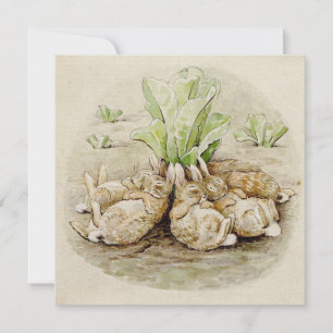 De Flopsy Bunnies Aslapen (door Beatrix Potter) Kaart