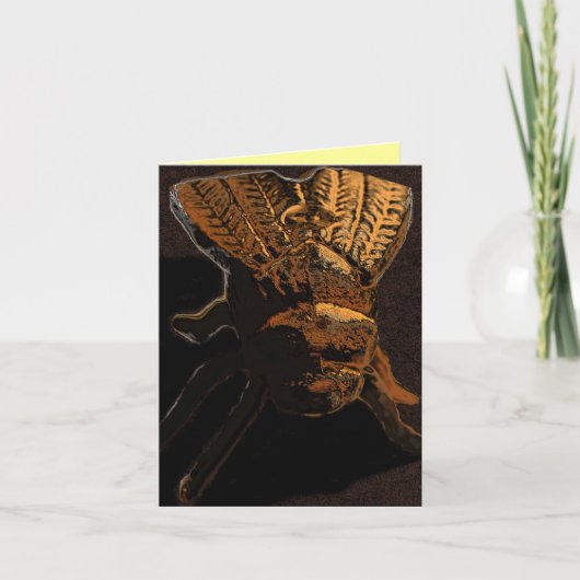 De Fly Note Kaart (Voorkant)