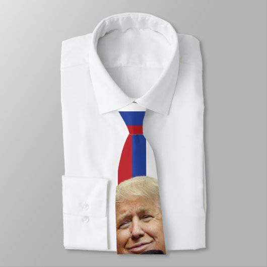 De Flynn Stropdas (Gebonden)