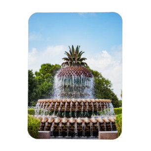 De Fontein van de ananas in Charleston, Sc Magneet