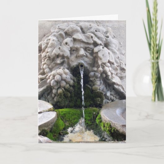 De fontein van de Jeugd Kaart (Voorkant)