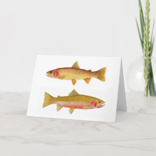 De Forel van Yellowstone & van de Moordenaar Kaart