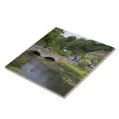 de forelstroom in het dorp Bibury, Tegeltje (Zijkant)