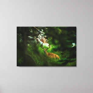 De Forest Prince Canvas Afdruk