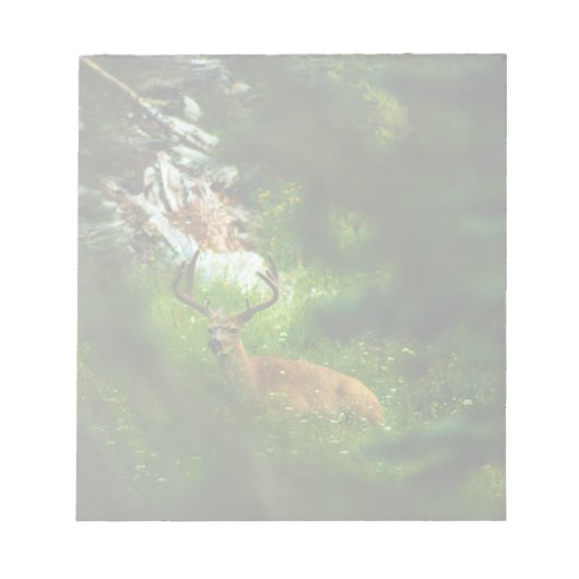 De Forest Prince Notitieblok (Voorkant)