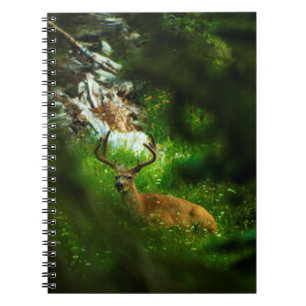 De Forest Prince Notitieboek