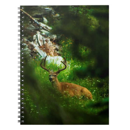 De Forest Prince Notitieboek (Voorkant)