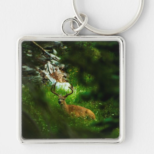 De Forest Prince Sleutelhanger (Voorkant)
