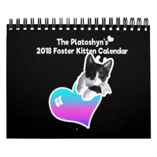 De Foster Kitten Agenda 2018 van Platoshyn Kalender