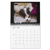 De Foster Kitten Agenda 2018 van Platoshyn Kalender (Mar 2026)